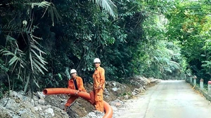 Thi công đường dây trung áp đi ngầm qua vùng lõi Vườn quốc gia Phong Nha-Kẻ Bàng.