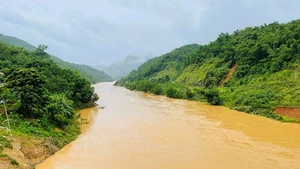 (Ảnh minh họa)