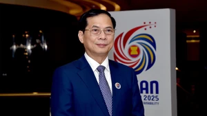 Phó Thủ tướng, Bộ trưởng Ngoại giao Bùi Thanh Sơn. (Ảnh: BNG)