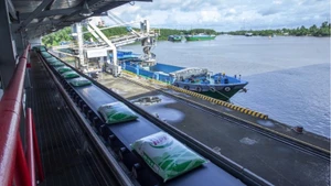 PVCFC chủ động xây dựng phương án điều hành sản xuất kinh doanh-phân phối để đáp ứng đủ nhu cầu vụ Hè Thu trong nước và mở rộng xuất khẩu sang các thị trường khác.