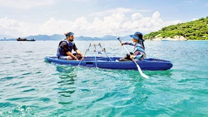 Khách du lịch tham gia hoạt động trồng san hô tại vịnh Ninh Vân. (Ảnh: Six Senses Ninh Van Bay)