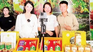 Hợp tác xã nông nghiệp xanh Phố Hiến, thành phố Hưng Yên mở kênh bán hàng trên nền tảng xã hội Facebook, Zalo... 