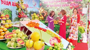 Nhiều hộ nông dân ở huyện Hữu Lũng đem sản phẩm đến tham dự trưng bày quảng cáo tại các lễ hội cây ăn quả của huyện và tỉnh. 