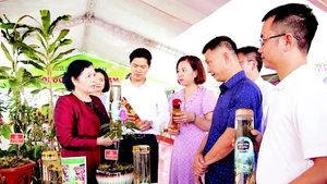 Lãnh đạo tỉnh Lai Châu khảo sát các mô hình phát triển kinh tế tại địa phương.