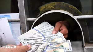 Giao dịch đồng USD. (Ảnh: THX/TTXVN)