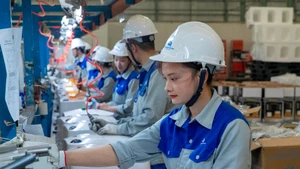 Trong năm 2024, chỉ tiêu tăng năng suất lao động đã vượt kế hoạch đề ra, sau ba năm không đạt. (Ảnh Sơn Tùng)