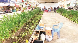 Gầm cầu Chánh Hưng, Quận 8 trở thành nơi bỏ đồ cũ, tập trung các quán nước, bán đồ ăn, điểm tụ tập của người vãng lai. (Ảnh QUÝ HIỀN)