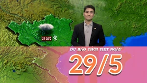 [Video] Dự báo thời tiết ngày 29/5/2025: Mưa lớn trên diện rộng tại Bắc Bộ và Bắc Trung Bộ