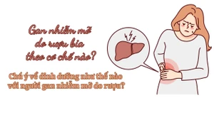 Gan nhiễm mỡ do rượu bia theo cơ chế nào? 