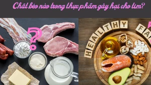 Chất béo nào trong thực phẩm gây hại cho tim?