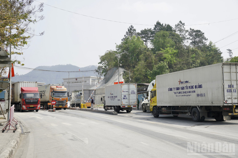 Hoạt động xuất, nhập khẩu khu vực cửa khẩu quốc tế Hữu Nghị, tỉnh Lạng Sơn. ndo_br_img-9945.jpg