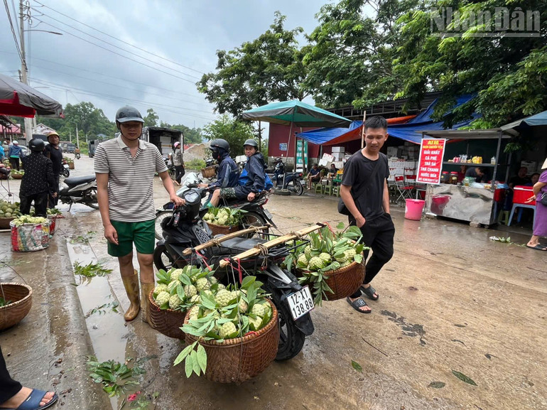 Tấp nập chợ na vào vụ. ndo_tr_z6880802555675-e00668b52f20501293f77b1d8e2c968b.jpg