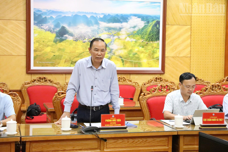 Thứ trưởng Phùng Đức Tiến, Bộ Nông nghiệp và Môi trường phát biểu tại buổi làm việc. ndo_tr_gen-h-z6859695620929-50c64fe14394ab450c394ce6e196bb5d.jpg