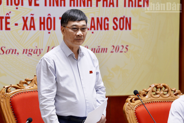 Đồng chí Vũ Hồng Thanh, Ủy viên Trung ương Đảng, Phó Chủ tịch Quốc hội phát biểu chỉ đạo tại buổi giám sát. ndo_tr_img-0574.jpg