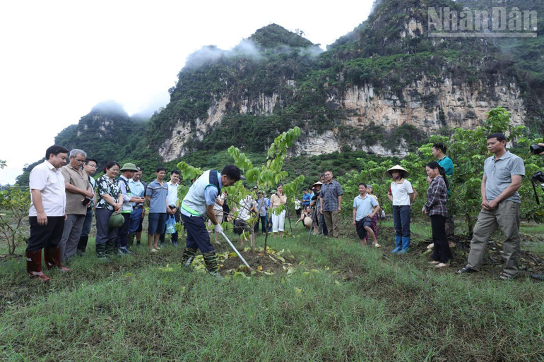 Chuyên gia thuộc Trung tâm Khuyến nông quốc gia hướng dẫn bà con nhân dân xã Cai Kinh, tỉnh Lạng Sơn kĩ thuật cuốc xới đất tạo thoáng khí. ndo_tr_gen-h-z7119628856349-5a84d1239317c9c9c441fe1d1ff42af6.jpg