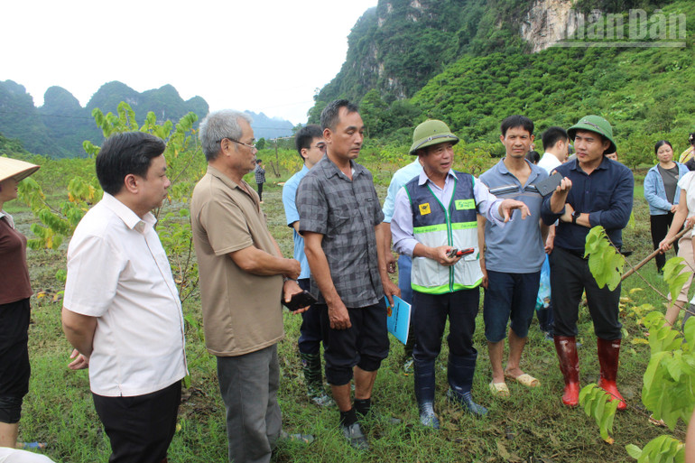 Nhờ sự hướng dẫn của các chuyên gia, bà con phần nào an tâm không còn nỗi lo vụ mùa mất trắng. ndo_tr_5.jpg