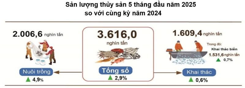 Nguồn: CỤC THỐNG KÊ bd3nn3525.jpg