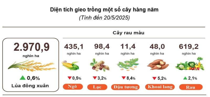 Nguồn: CỤC THỐNG KÊ bd1nn525.jpg