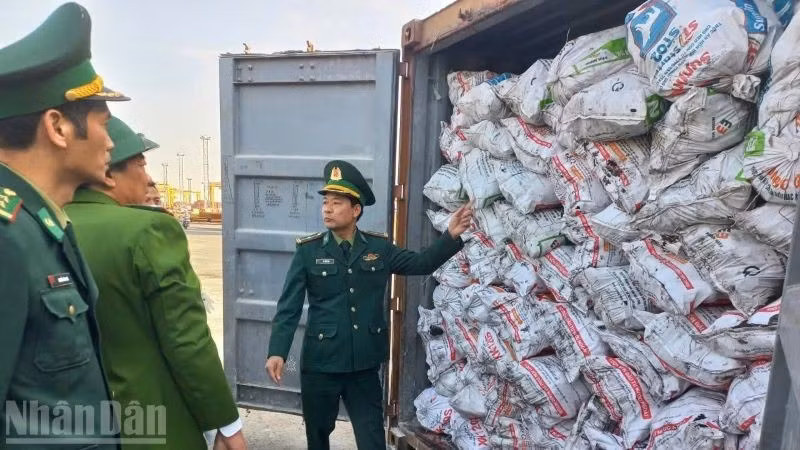 Bộ đội Biên phòng Hải Phòng thu giữ container chứa than cục không có giấy tờ chứng minh nguồn gốc hợp pháp.