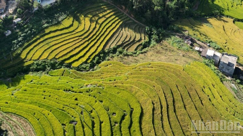 Ruộng bậc thang Bình Liêu, Quảng Ninh nhìn từ trên cao. (Ảnh: QUỐC TOẢN)