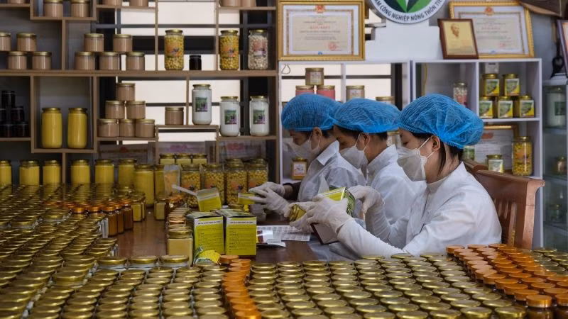 Nâng cao hiệu quả quản lý nhà nước, trách nhiệm phối hợp của các cơ quan, tổ chức trong đổi mới, nâng cao chất lượng đào tạo nghề cho lao động nông thôn. (Ảnh: PV)