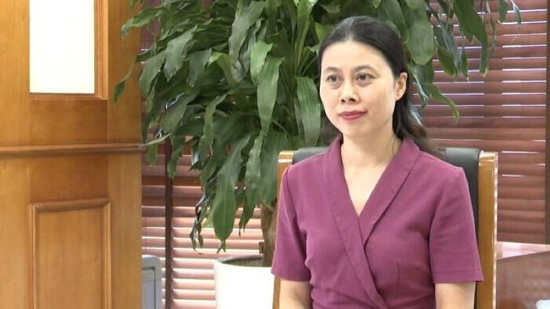 Bà Đỗ Thị Ngọc, Phó Cục trưởng Cục Thống kê. (Ảnh: CTK) bangoc.jpg