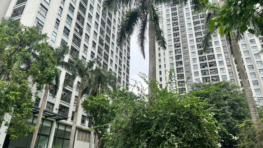 Các công trình xanh còn giúp tiết kiệm đáng kể năng lượng tiêu thụ và góp phần nâng cao hiệu quả công việc, với mức cải thiện năng suất ước tính từ 1-1,5%. (Ảnh: HNV) dothixanh4.jpg