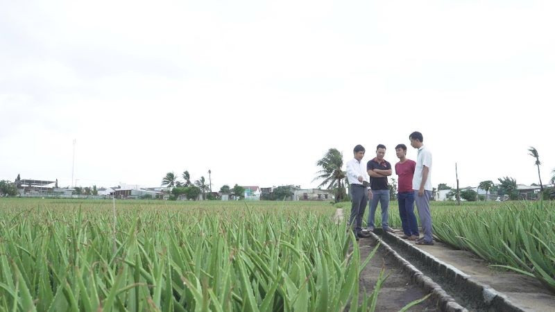 Tổng điều tra sẽ triển khai trên cả nước từ 1/7/2025. (Ảnh: PV) nndt1.jpg