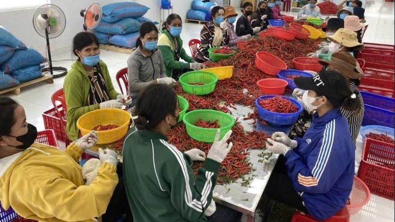 Đối tượng điều tra gồm: Lao động tham gia hoạt động nông, lâm, thuỷ sản; Hộ dân cư tham gia hoạt động nông, lâm, thuỷ sản; Trang trại, doanh nghiệp, hợp tác xã tham gia hoạt động nông, lâm, thuỷ sản; Ủy ban nhân dân xã. (Ảnh: HNV)