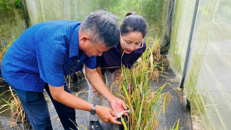 Bà Nguyễn Thị Thúy Phượng, Trưởng Văn phòng Điều phối Dự án “Đọc sách cùng Xích Lô” cùng nhà khoa học, “Vua lúa giống” Nguyễn Anh Dũng cùng nhà khoa học, “Vua lúa giống” Nguyễn Anh Dũng. nnx4.jpg