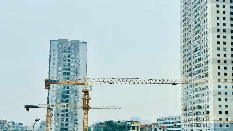 ndo_br_danhahn1.jpg