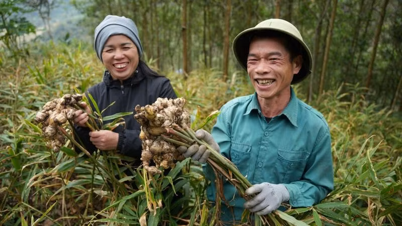 ifad1-bk.jpg