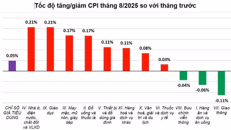 cpi8-25.jpg