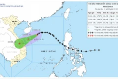 Dự báo quỹ đạo và cường độ bão số 12. 