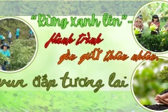 “Rừng xanh lên” - Hành trình gìn giữ thiên nhiên, vun đắp tương lai