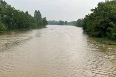 Nước sông Yên đang dâng cao.