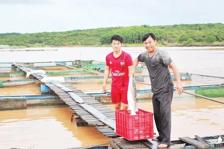 Các hộ dân nuôi cá lồng bè trên lòng hồ thủy điện Cần Đơn, xã Đa Kia, tỉnh Đồng Nai.