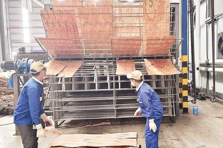 Sản xuất các loại ván công nghệ cao, phục vụ xuất khẩu tại Công ty cổ phần Ván sàn Hòa Phát (Khu công nghiệp Châu Đức, xã Nghĩa Thành, Thành phố Hồ Chí Minh). (Ảnh Cộng tác viên)