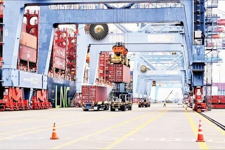 Bốc dỡ hàng tại cụm cảng Cái Mép-Thị Vải. (Ảnh VÕ LÊ)