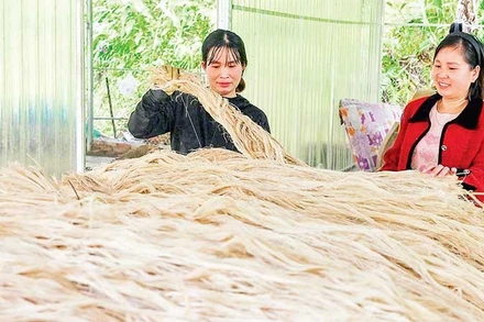 Một số sản phẩm từ sợi chuối đã được xuất khẩu sang thị trường nước ngoài, góp phần tạo đầu ra ổn định.