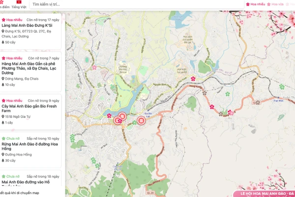 Với bản đồ mai anh đào Đà Lạt số, du khách có thể tra cứu thông tin chính xác về từng địa điểm, trạng thái của từng khu vực hoa nở. (Ảnh chụp màn hình)