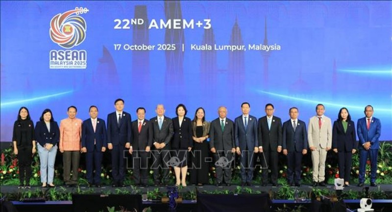 Các đại biểu tại Hội nghị Bộ trưởng Năng lượng ASEAN+3. (Ảnh: TTXVN)