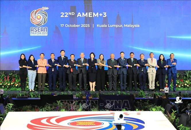Các đại biểu tại Hội nghị Bộ trưởng Năng lượng ASEAN+3. (Ảnh: TTXVN) Các đại biểu tại Hội nghị Bộ trưởng Năng lượng ASEAN+3. (Ảnh: TTXVN)