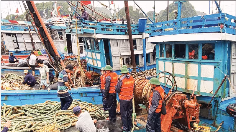 Lực lượng Bộ đội Biên phòng thành phố Hải Phòng hướng dẫn ngư dân chằng buộc tàu thuyền tại nơi tránh trú bão số 3. (Ảnh: HỒNG VINH)
