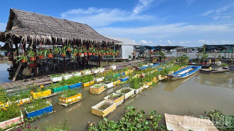 ជ្រុងមួយនៃភូមិក្បូនមើលទៅដូចផ្ទះបណ្តែតទឹករបស់លោក Muoi Thuan នៅមាត់ទន្លេ។ ndo_br_20250605-142637-1.jpg