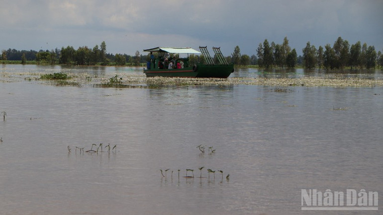 Grupul domnului Nguyen Van Tai îi duce pe vizitatori într-un tur al câmpurilor inundate. ndo_br_a5-1741.jpg