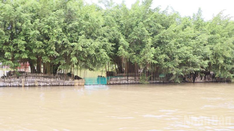 Un peisaj natural scufundat în apă în timpul sezonului inundațiilor. ndo_br_a4-1.jpg