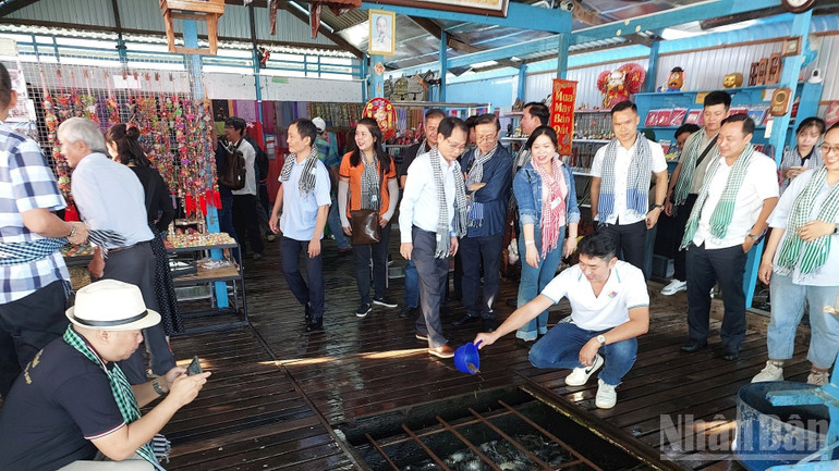 Nghề nuôi cá basa bè một thời cực thịnh. ndo_br_20240118-074723-1907.jpg
