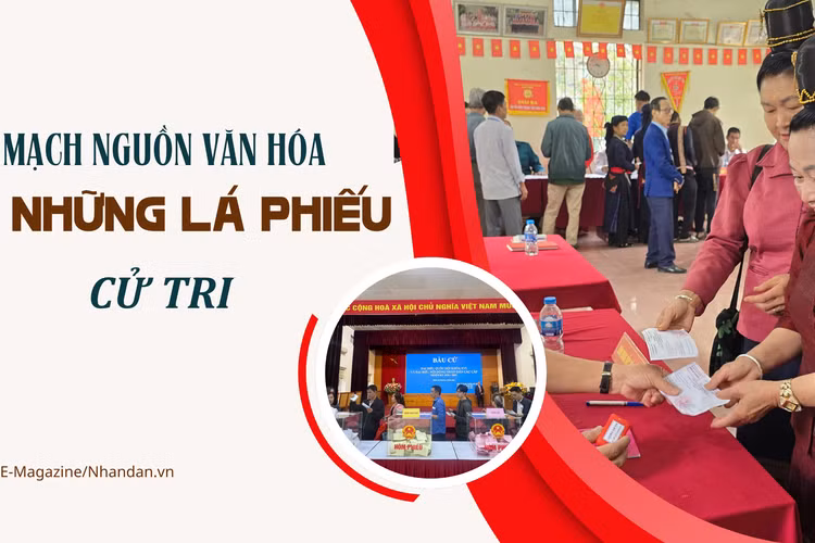 Mạch nguồn văn hóa từ những lá phiếu cử tri