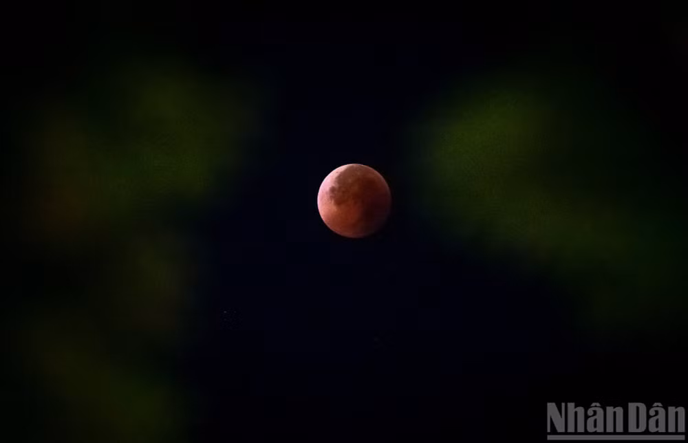 Mặt trăng sẽ có một màn “biến hình” cực kỳ ấn tượng: Thay vì sắc vàng thông thường, vệ tinh này sẽ nhuộm một màu đỏ đồng. Trong ảnh là hiện tượng nguyệt thực toàn phần, thường được gọi là “trăng máu” xuất hiện trên bầu trời Hà Nội rạng sáng 8/9/2025. Ảnh: THÀNH ĐẠT.
